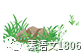 篮球训练营中试训的表现评估方法_1